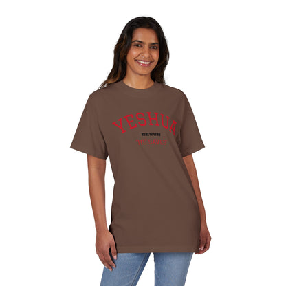 Yeshua He Saves Tee, Unisex Graphic Tee,